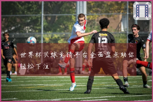 世界杯买球竞猜平台全面盘点助你轻松下注