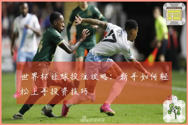 世界杯让球投注攻略：新手如何轻松上手投资技巧