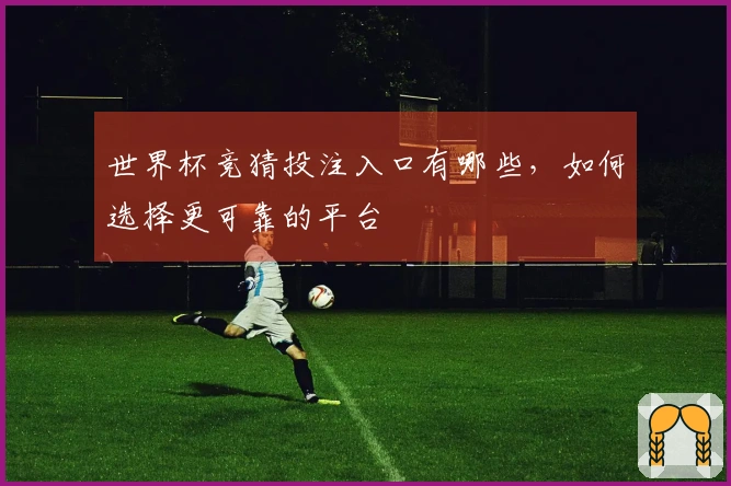 世界杯竞猜投注入口有哪些，如何选择更可靠的平台