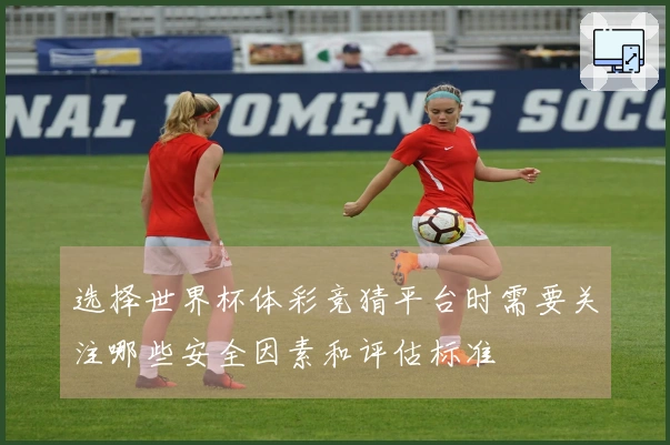 选择世界杯体彩竞猜平台时需要关注哪些安全因素和评估标准